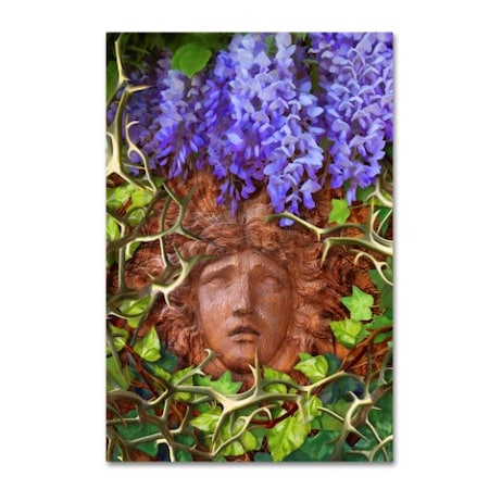 Tina Lavoie 'Secret Garden' Canvas Art,22x32